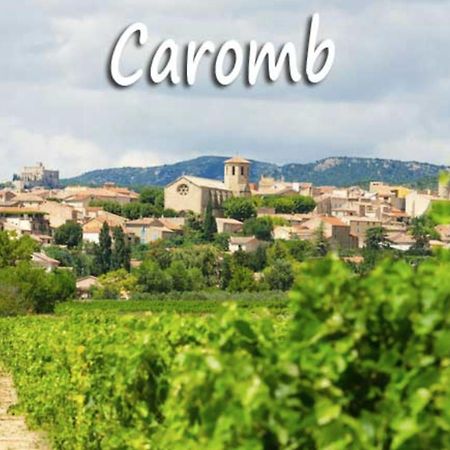 Belle Maison Provencale Au Pied Du Mont Ventoux Caromb Buitenkant foto